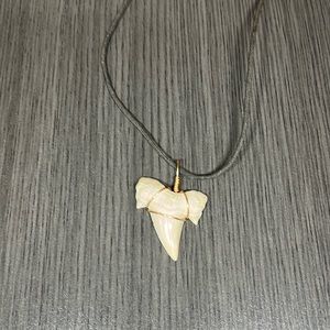 Shark tooth necklace